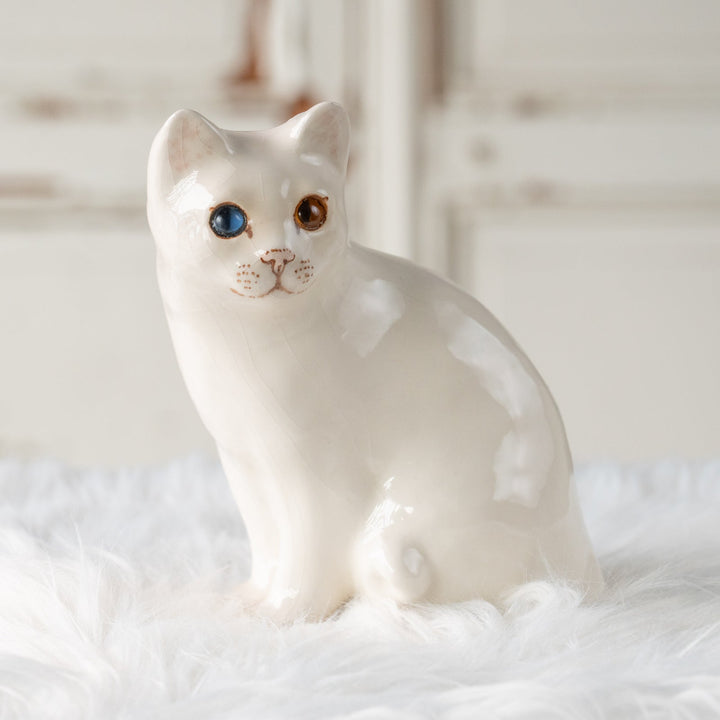 【Winstanley Cat ウィンスタンレイ キャット】真っ白なボディにオッドアイが美しい スノーウィー 白猫 /25L
