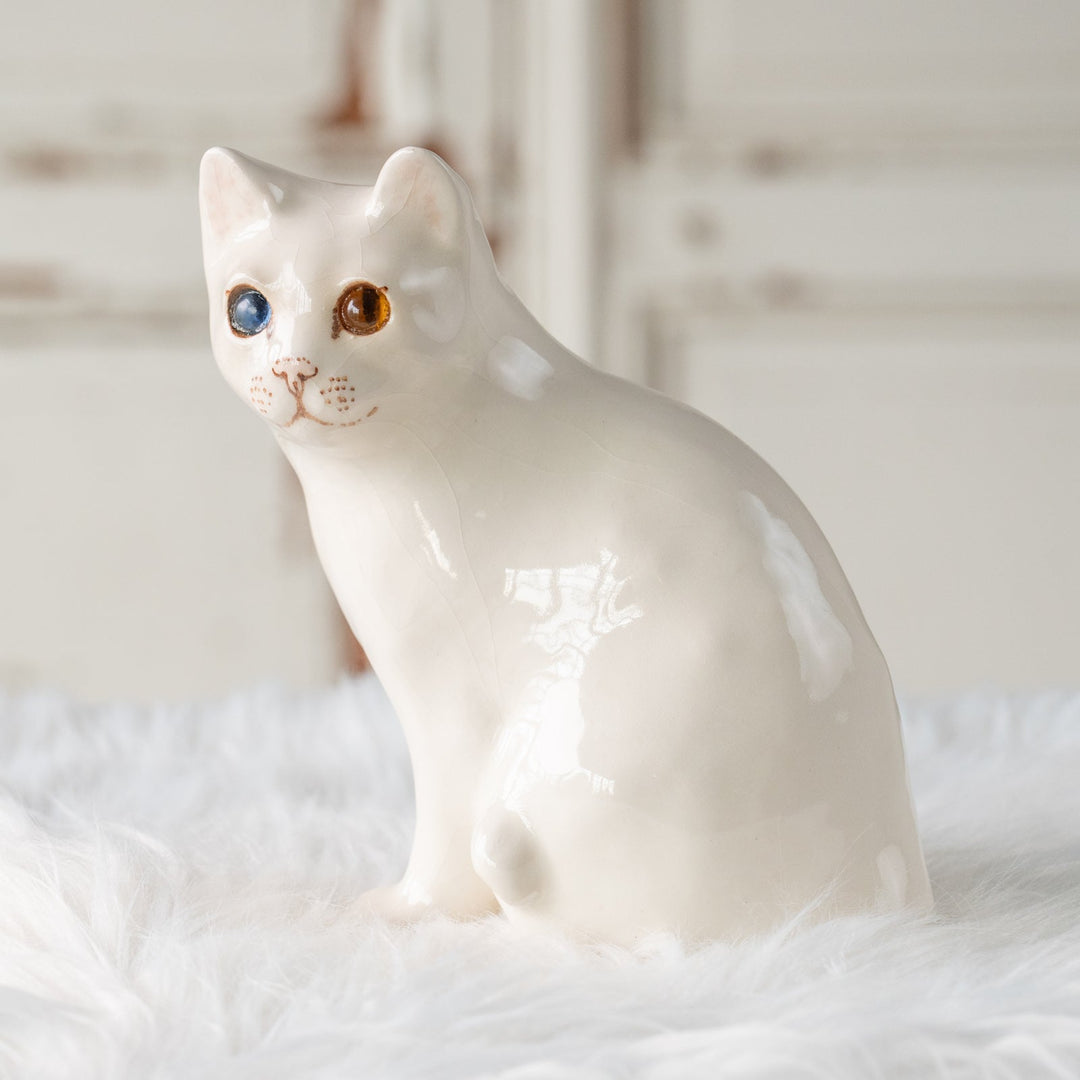 【Winstanley Cat ウィンスタンレイ キャット】真っ白なボディにオッドアイが美しい スノーウィー 白猫 /25L