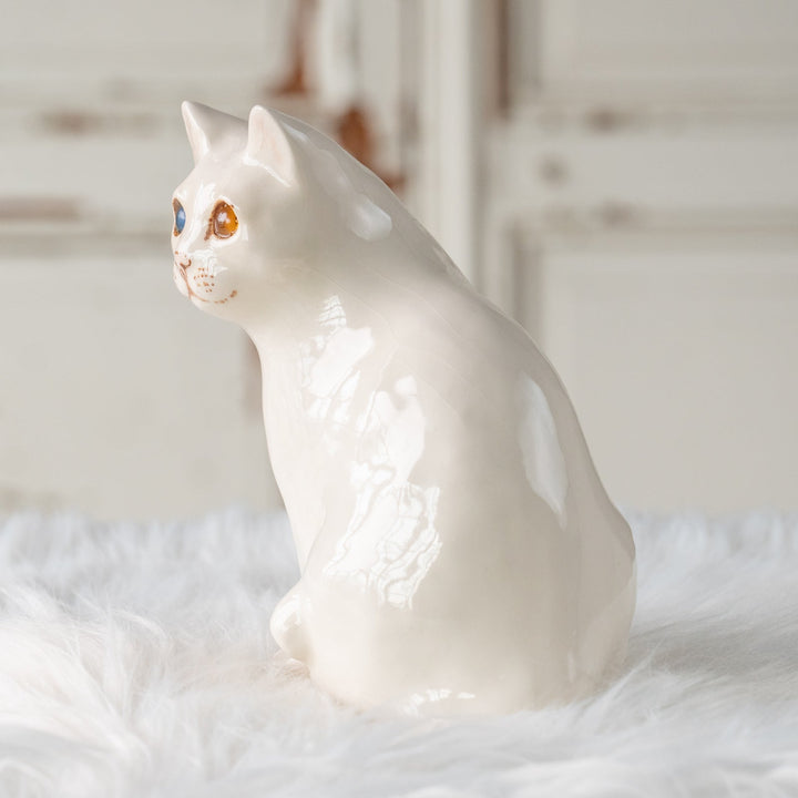 【Winstanley Cat ウィンスタンレイ キャット】真っ白なボディにオッドアイが美しい スノーウィー 白猫 /25L