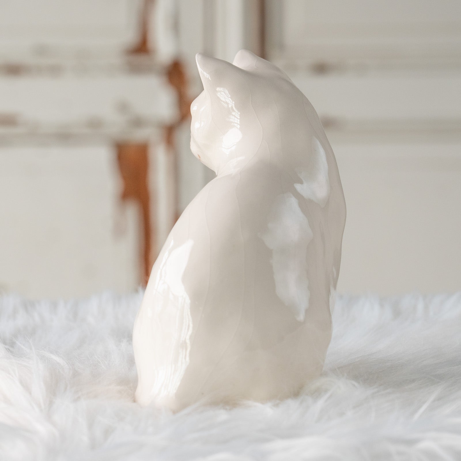 ウィンスタンレイキャット、オッドアイ Winstanley Cat ウィンスタンレイ キャット】真っ白なボディに