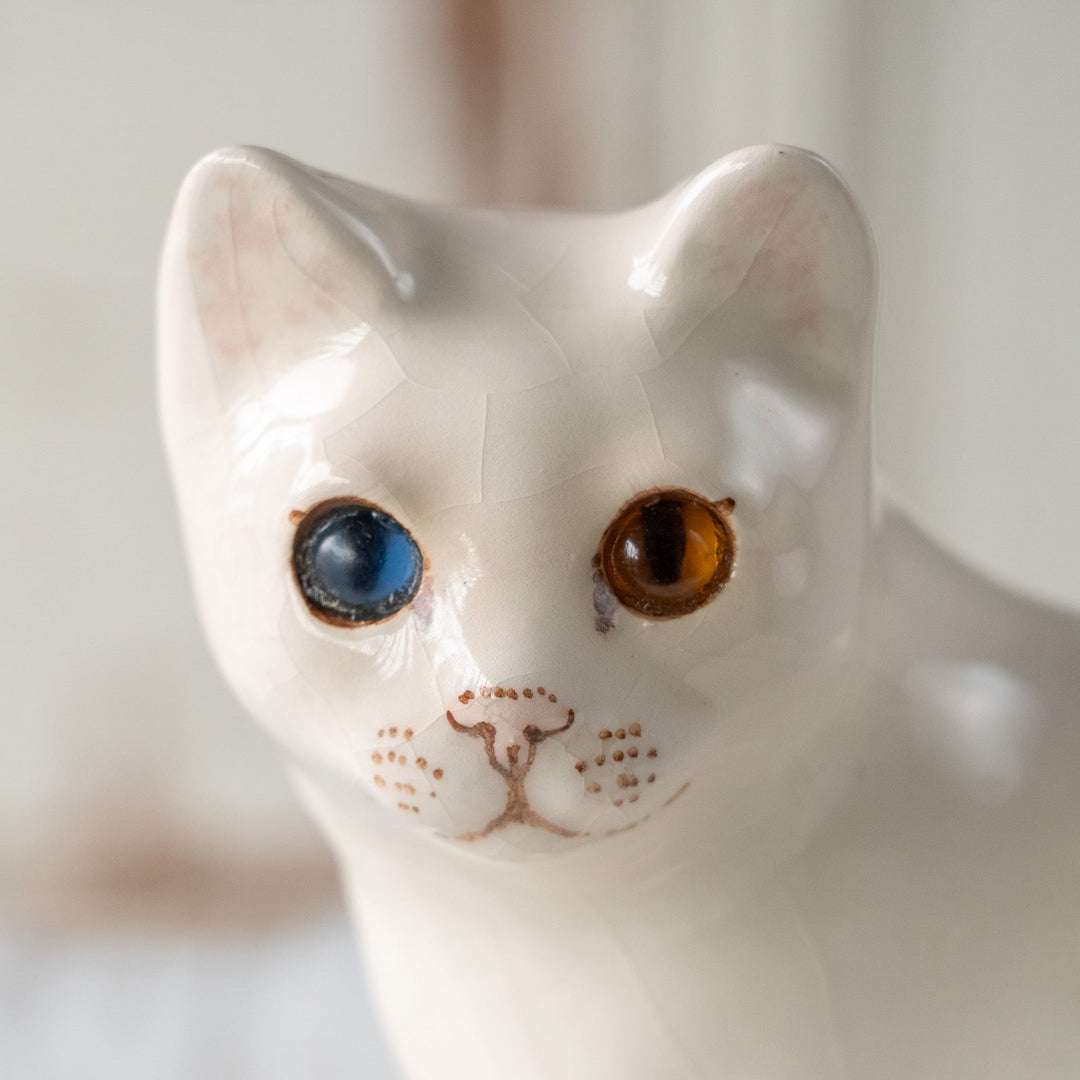 【Winstanley Cat ウィンスタンレイ キャット】真っ白なボディにオッドアイが美しい スノーウィー 白猫 /25L
