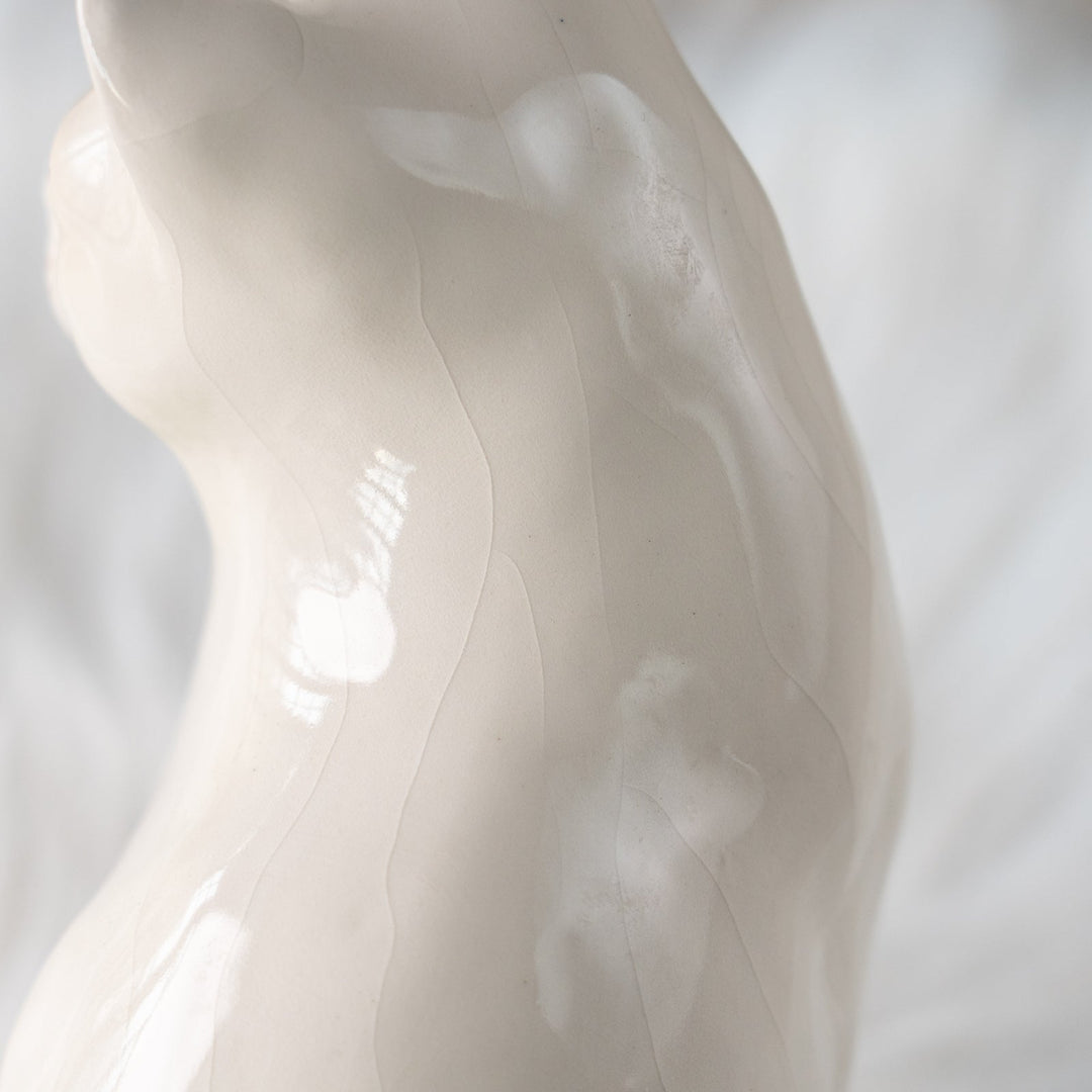 【Winstanley Cat ウィンスタンレイ キャット】真っ白なボディにオッドアイが美しい スノーウィー 白猫 /25L