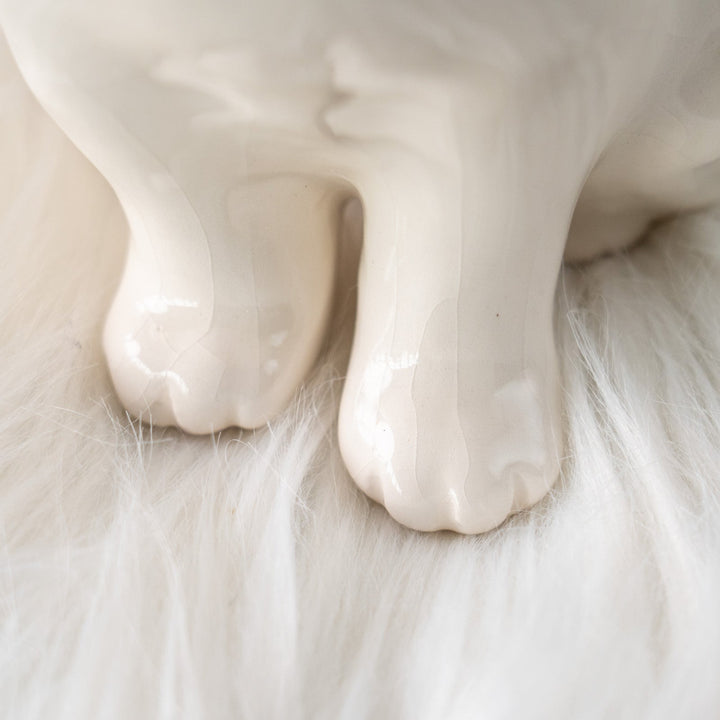 【Winstanley Cat ウィンスタンレイ キャット】真っ白なボディにオッドアイが美しい スノーウィー 白猫 /25L