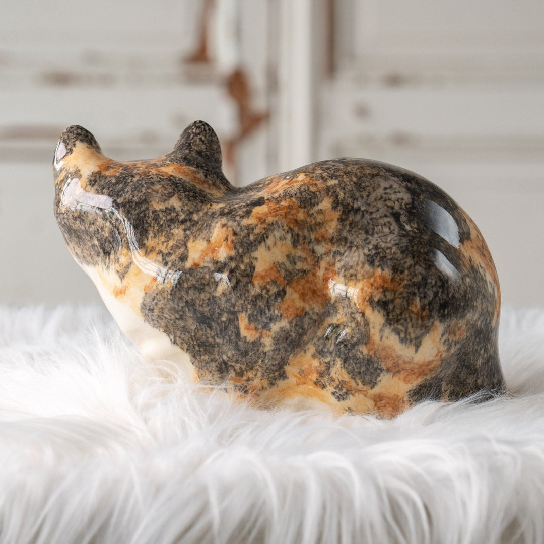 【Winstanley Cat ウィンスタンレイ キャット】丸い背中をなでたくなる キャリコ 三毛猫 /25L