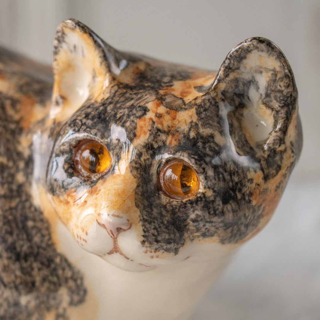 【Winstanley Cat ウィンスタンレイ キャット】丸い背中をなでたくなる キャリコ 三毛猫 /25L