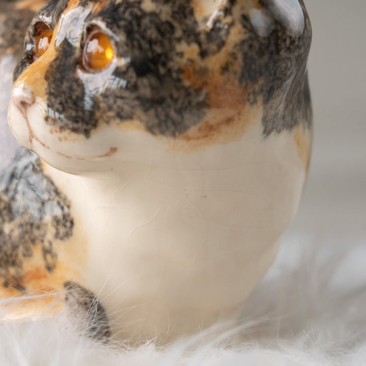 【Winstanley Cat ウィンスタンレイ キャット】丸い背中をなでたくなる キャリコ 三毛猫 /25L