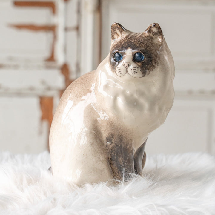 【Winstanley Cat ウィンスタンレイ キャット】モフモフした毛並みが気品を感じる ブルーアイ ラグドール 長毛猫 /25L