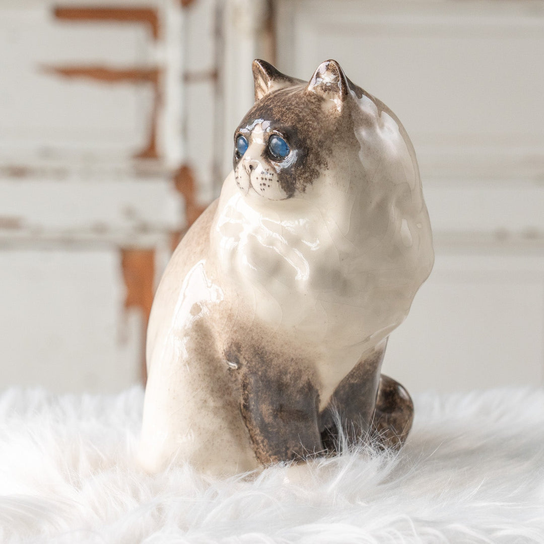 【Winstanley Cat ウィンスタンレイ キャット】モフモフした毛並みが気品を感じる ブルーアイ ラグドール 長毛猫 /25L