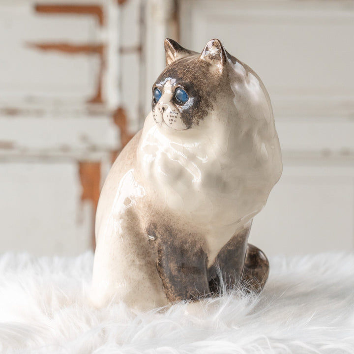 【Winstanley Cat ウィンスタンレイ キャット】モフモフした毛並みが気品を感じる ブルーアイ ラグドール 長毛猫 /25L