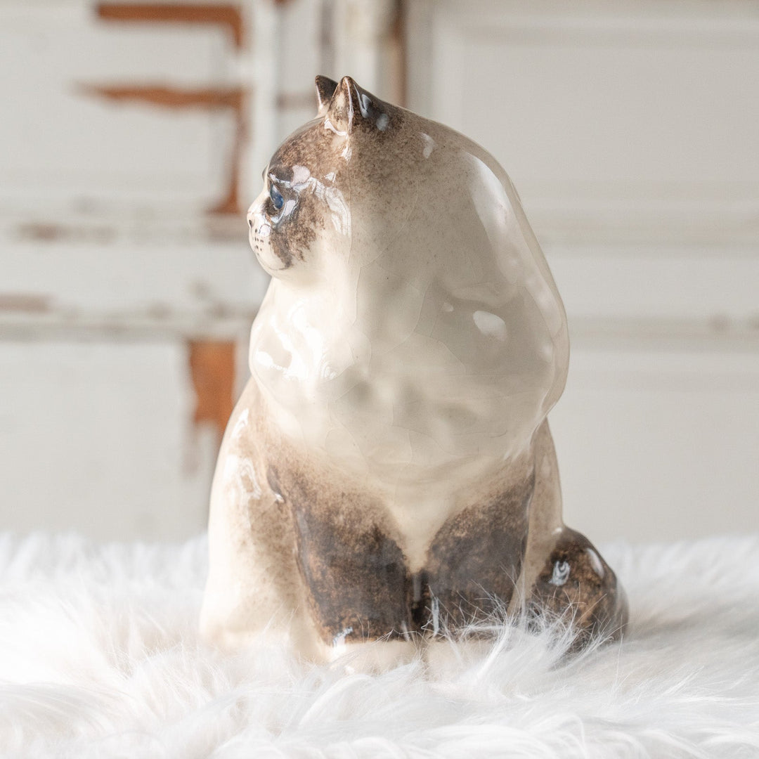 【Winstanley Cat ウィンスタンレイ キャット】モフモフした毛並みが気品を感じる ブルーアイ ラグドール 長毛猫 /25L