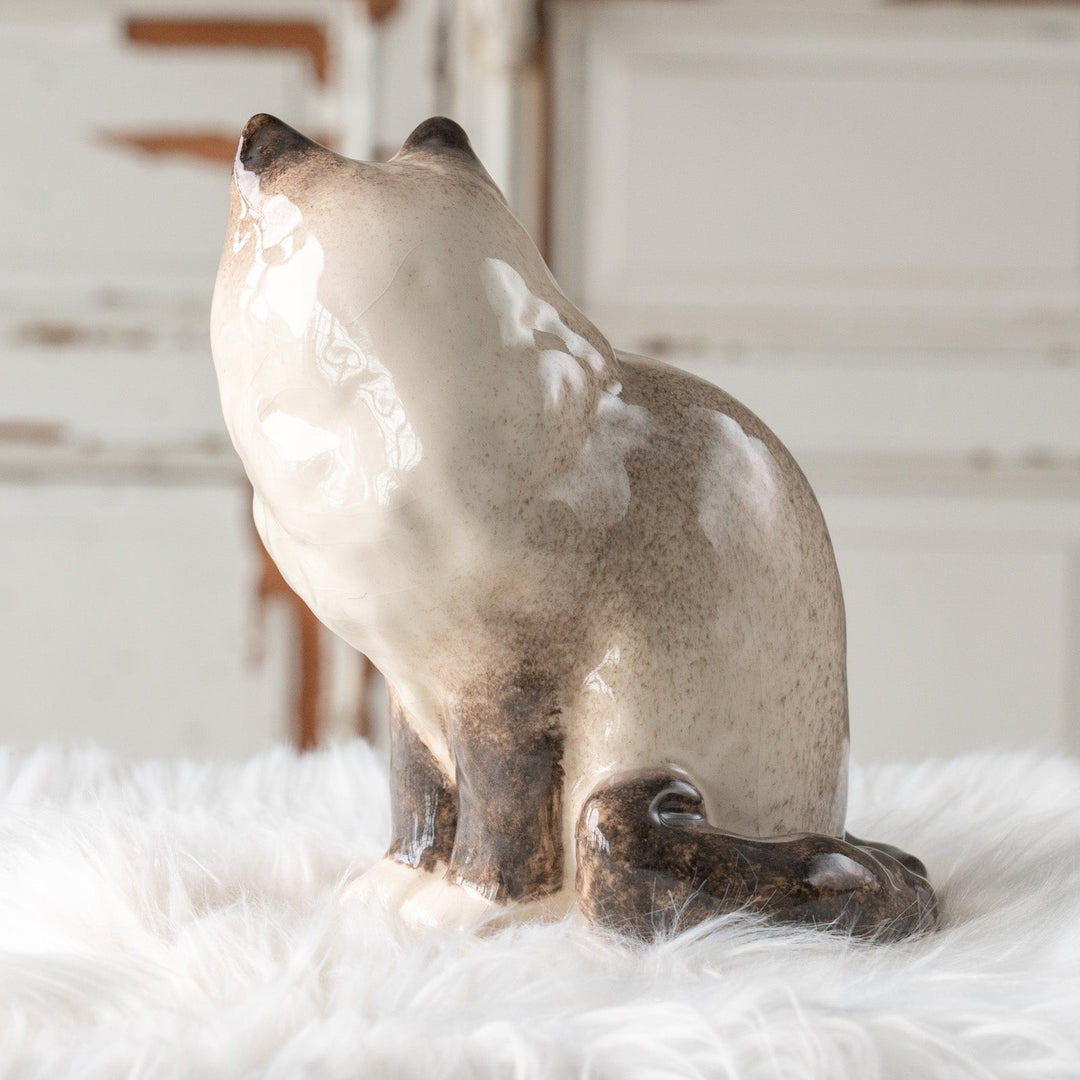 【Winstanley Cat ウィンスタンレイ キャット】モフモフした毛並みが気品を感じる ブルーアイ ラグドール 長毛猫 /25L