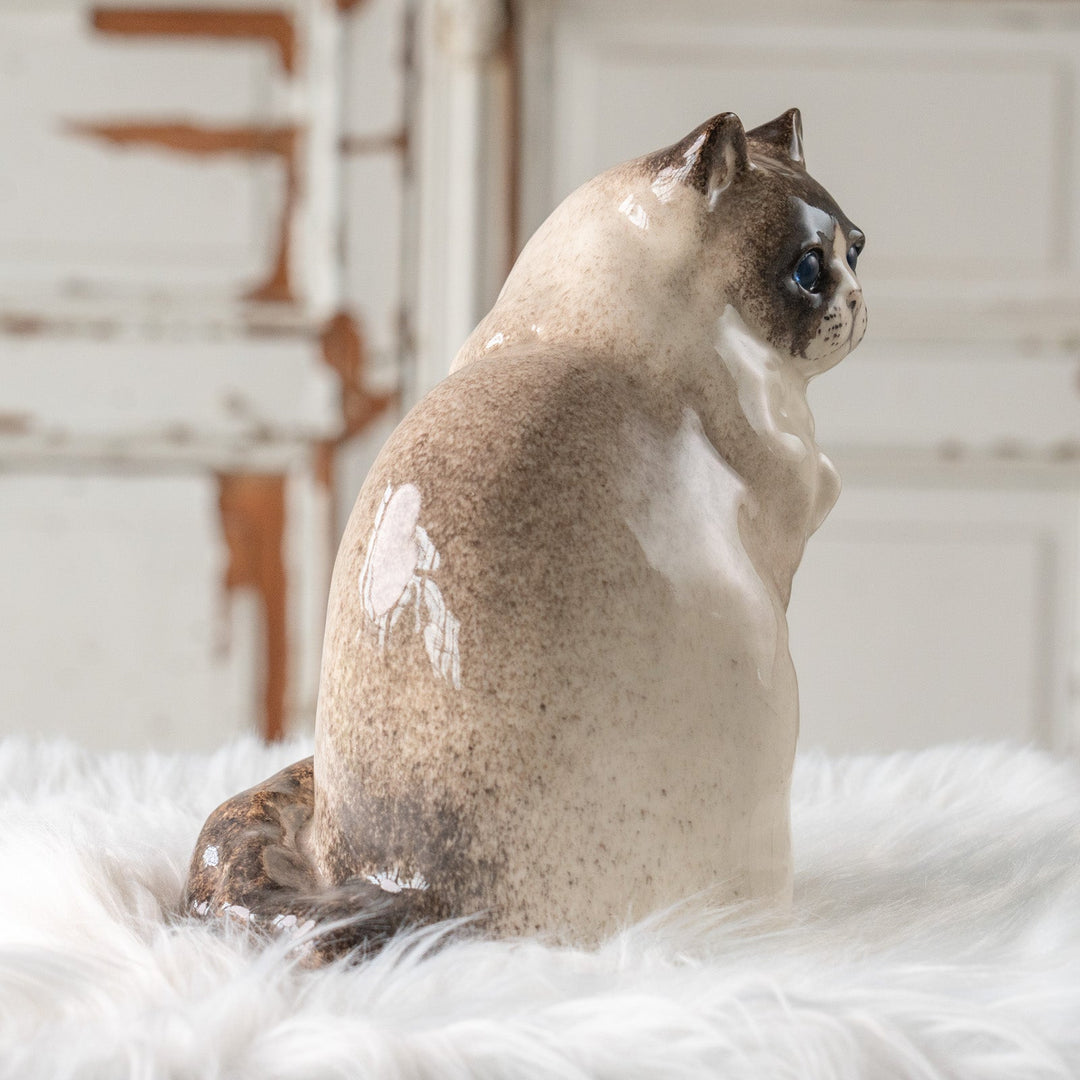 【Winstanley Cat ウィンスタンレイ キャット】モフモフした毛並みが気品を感じる ブルーアイ ラグドール 長毛猫 /25L