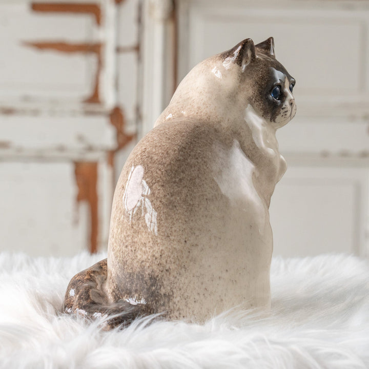 【Winstanley Cat ウィンスタンレイ キャット】モフモフした毛並みが気品を感じる ブルーアイ ラグドール 長毛猫 /25L