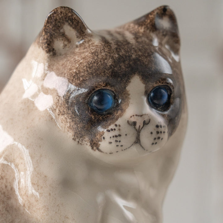 【Winstanley Cat ウィンスタンレイ キャット】モフモフした毛並みが気品を感じる ブルーアイ ラグドール 長毛猫 /25L