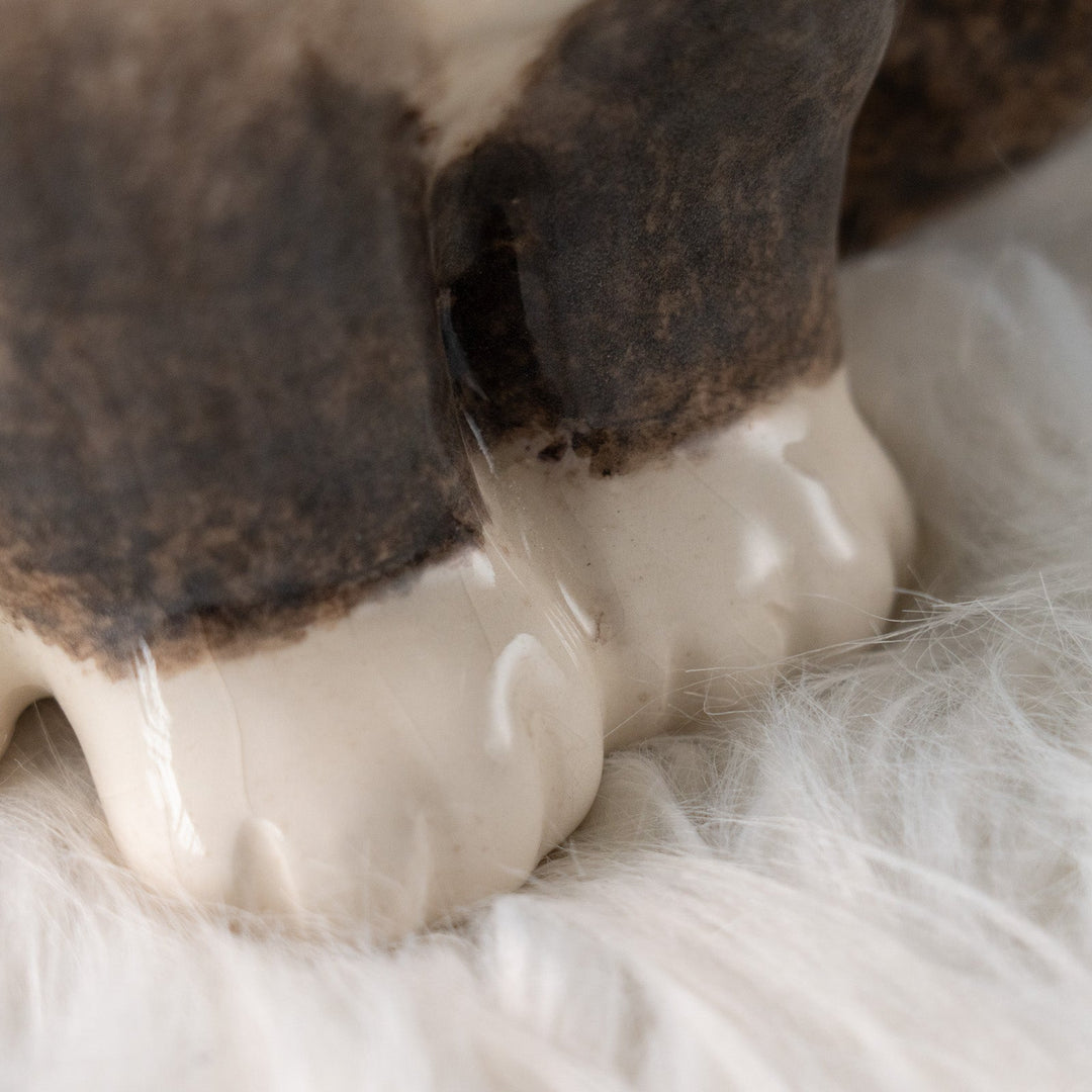 【Winstanley Cat ウィンスタンレイ キャット】モフモフした毛並みが気品を感じる ブルーアイ ラグドール 長毛猫 /25L