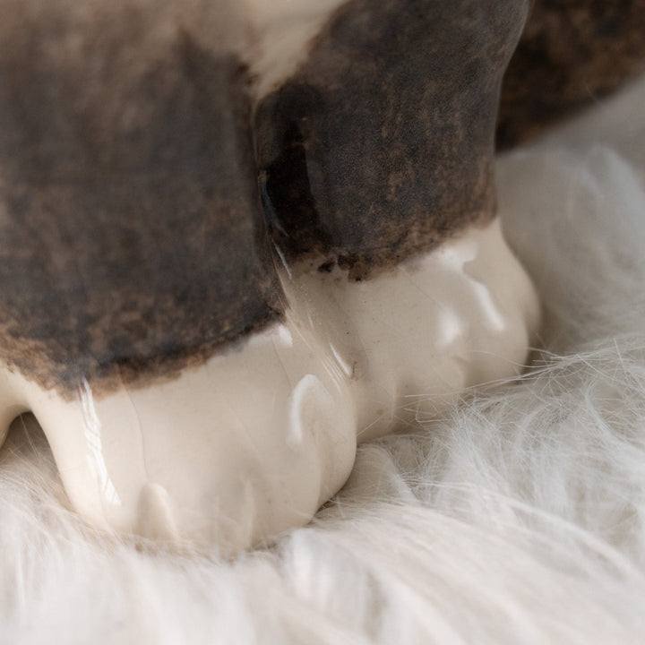 【Winstanley Cat ウィンスタンレイ キャット】モフモフした毛並みが気品を感じる ブルーアイ ラグドール 長毛猫 /25L