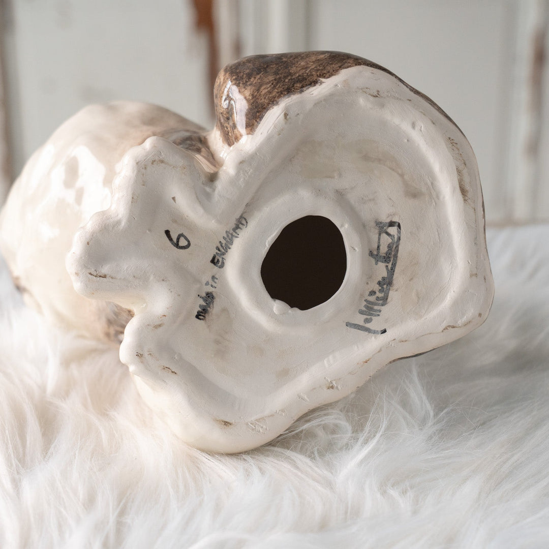 【Winstanley Cat ウィンスタンレイ キャット】モフモフした毛並みが気品を感じる ブルーアイ ラグドール 長毛猫 /25L