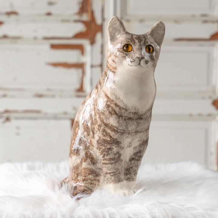 【Winstanley Cat ウィンスタンレイ キャット】くりくりとした丸い瞳がチャーミング シルバータビー サバトラ猫 /25L