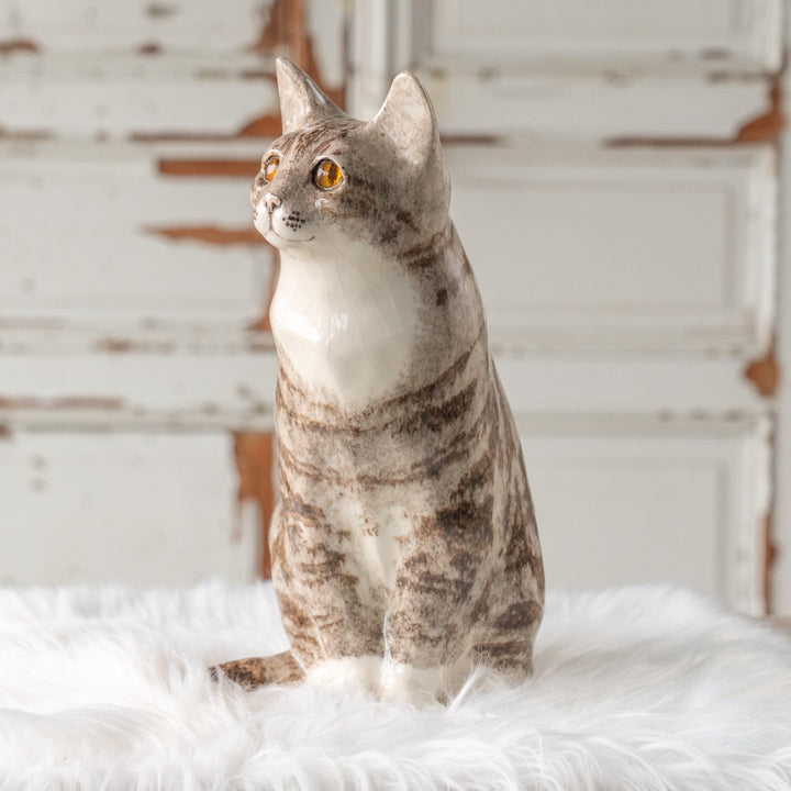 【Winstanley Cat ウィンスタンレイ キャット】くりくりとした丸い瞳がチャーミング シルバータビー サバトラ猫 /25L