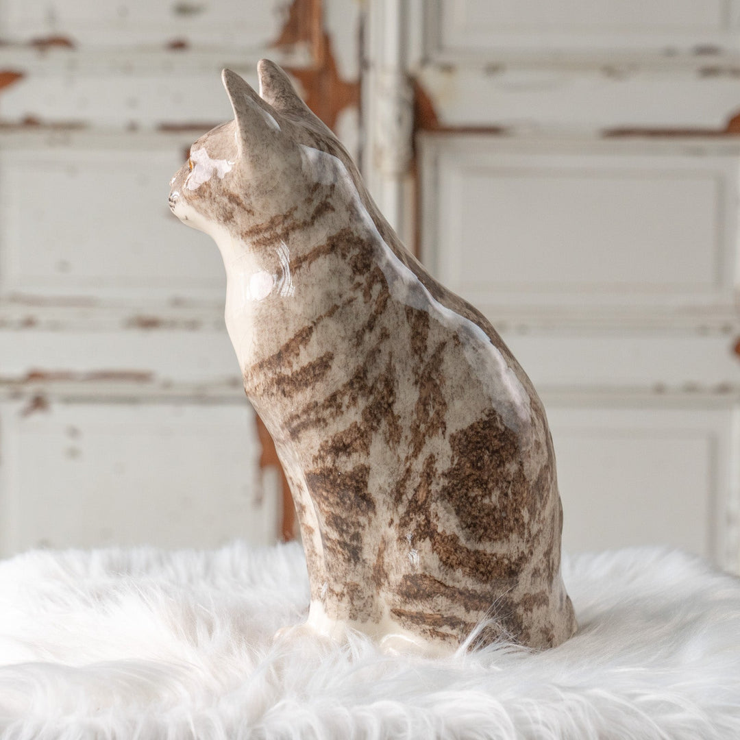 【Winstanley Cat ウィンスタンレイ キャット】くりくりとした丸い瞳がチャーミング シルバータビー サバトラ猫 /25L