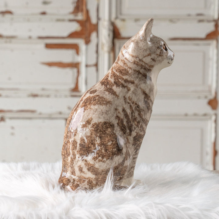 【Winstanley Cat ウィンスタンレイ キャット】くりくりとした丸い瞳がチャーミング シルバータビー サバトラ猫 /25L