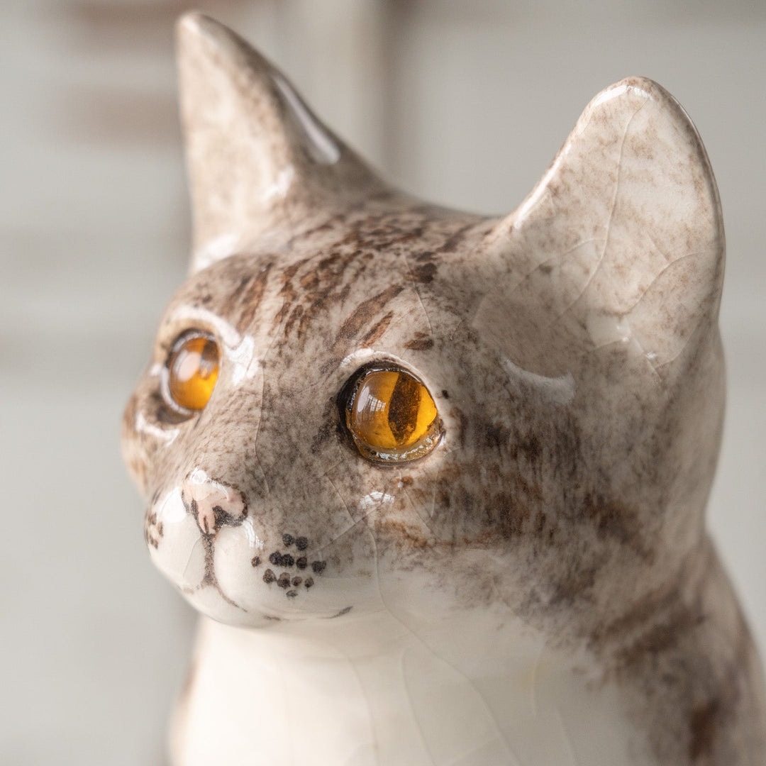 【Winstanley Cat ウィンスタンレイ キャット】くりくりとした丸い瞳がチャーミング シルバータビー サバトラ猫 /25L