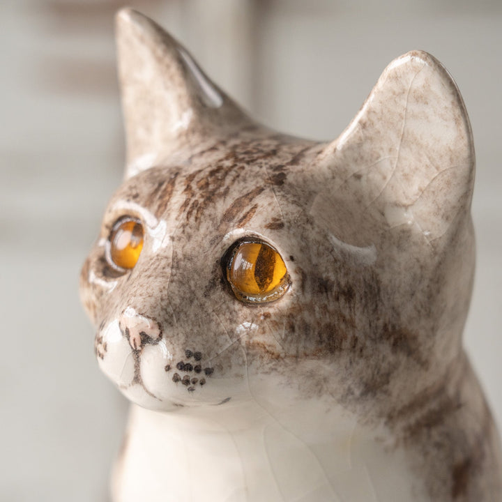 【Winstanley Cat ウィンスタンレイ キャット】くりくりとした丸い瞳がチャーミング シルバータビー サバトラ猫 /25L