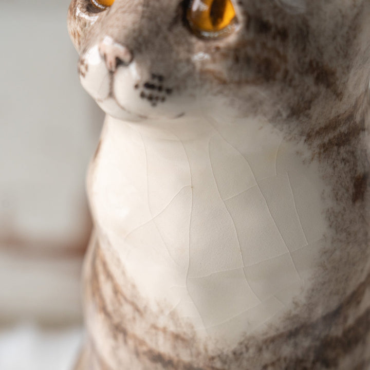 【Winstanley Cat ウィンスタンレイ キャット】くりくりとした丸い瞳がチャーミング シルバータビー サバトラ猫 /25L