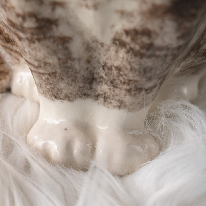 【Winstanley Cat ウィンスタンレイ キャット】くりくりとした丸い瞳がチャーミング シルバータビー サバトラ猫 /25L