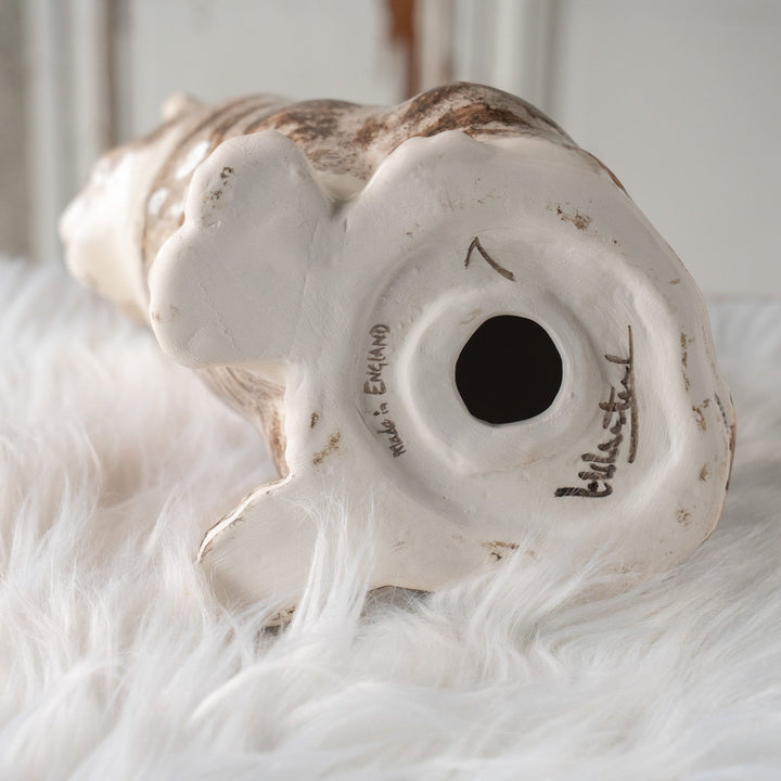 【Winstanley Cat ウィンスタンレイ キャット】くりくりとした丸い瞳がチャーミング シルバータビー サバトラ猫 /25L