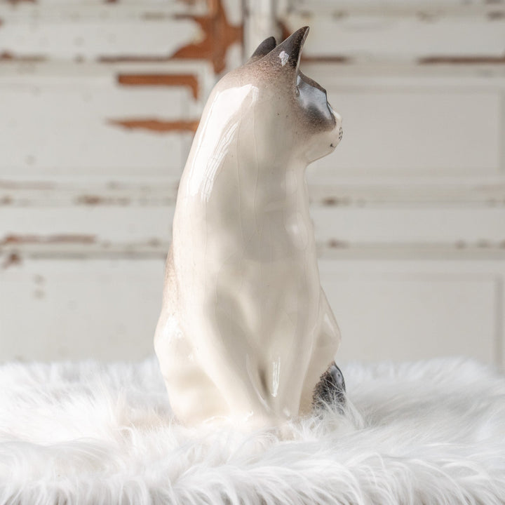 【Winstanley Cat ウィンスタンレイ キャット】おすまし顔でこちらを見つめる ブルーアイ サイアミーズ シャム猫 /25L