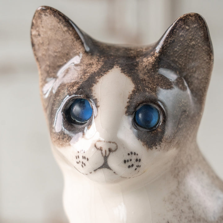 【Winstanley Cat ウィンスタンレイ キャット】おすまし顔でこちらを見つめる ブルーアイ サイアミーズ シャム猫 /25L