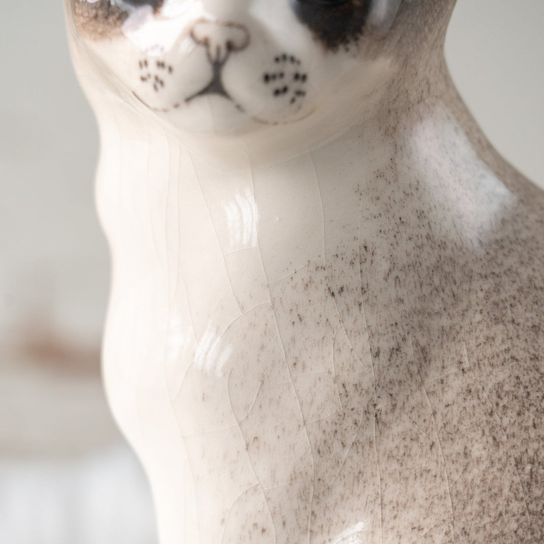 【Winstanley Cat ウィンスタンレイ キャット】おすまし顔でこちらを見つめる ブルーアイ サイアミーズ シャム猫 /25L