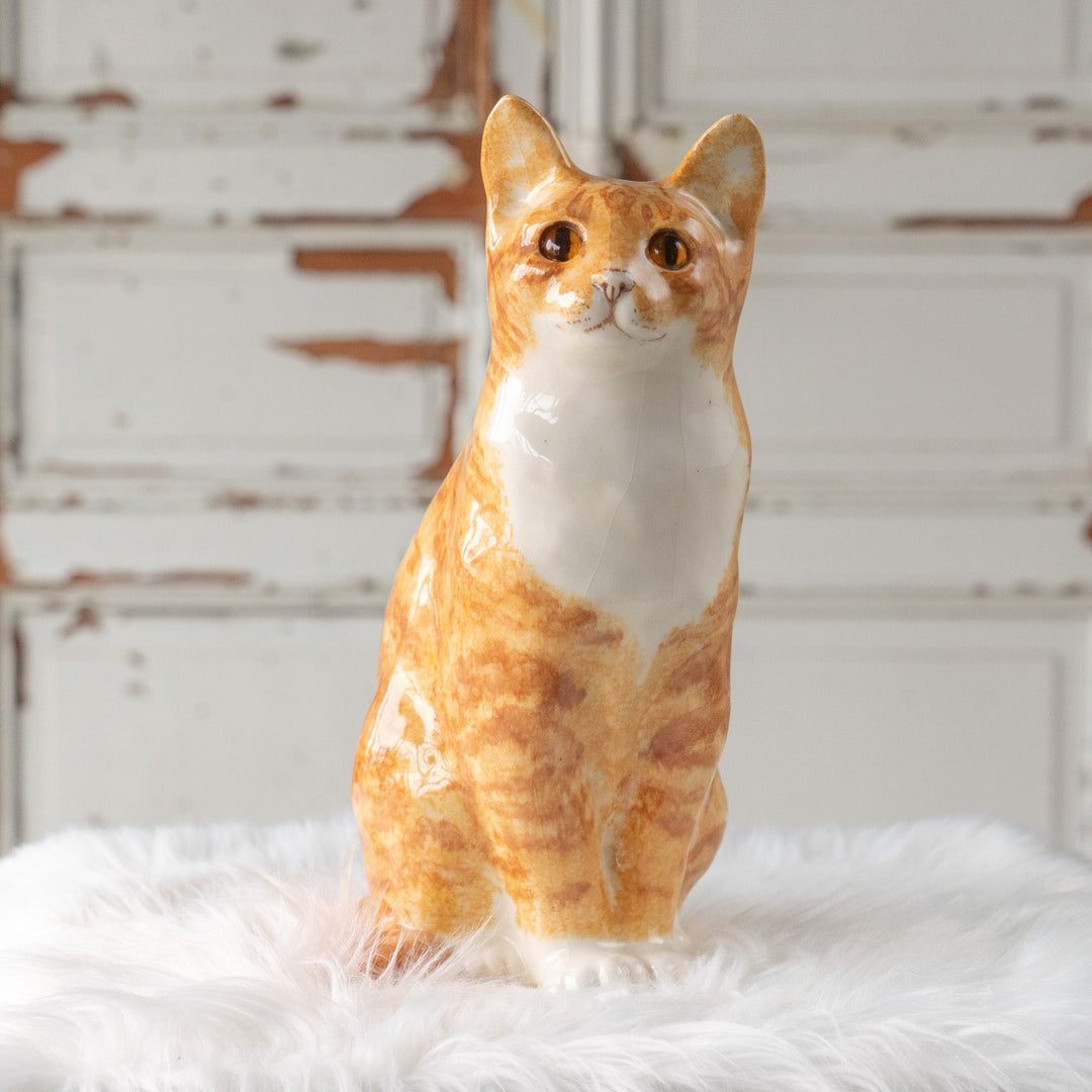 【Winstanley Cat ウィンスタンレイ キャット】遠くを見つめる物憂げな表情が印象的 ジンジャー 茶トラ猫 /25L