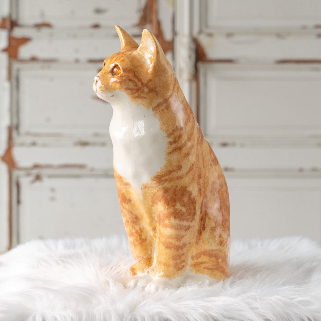 【Winstanley Cat ウィンスタンレイ キャット】遠くを見つめる物憂げな表情が印象的 ジンジャー 茶トラ猫 /25L