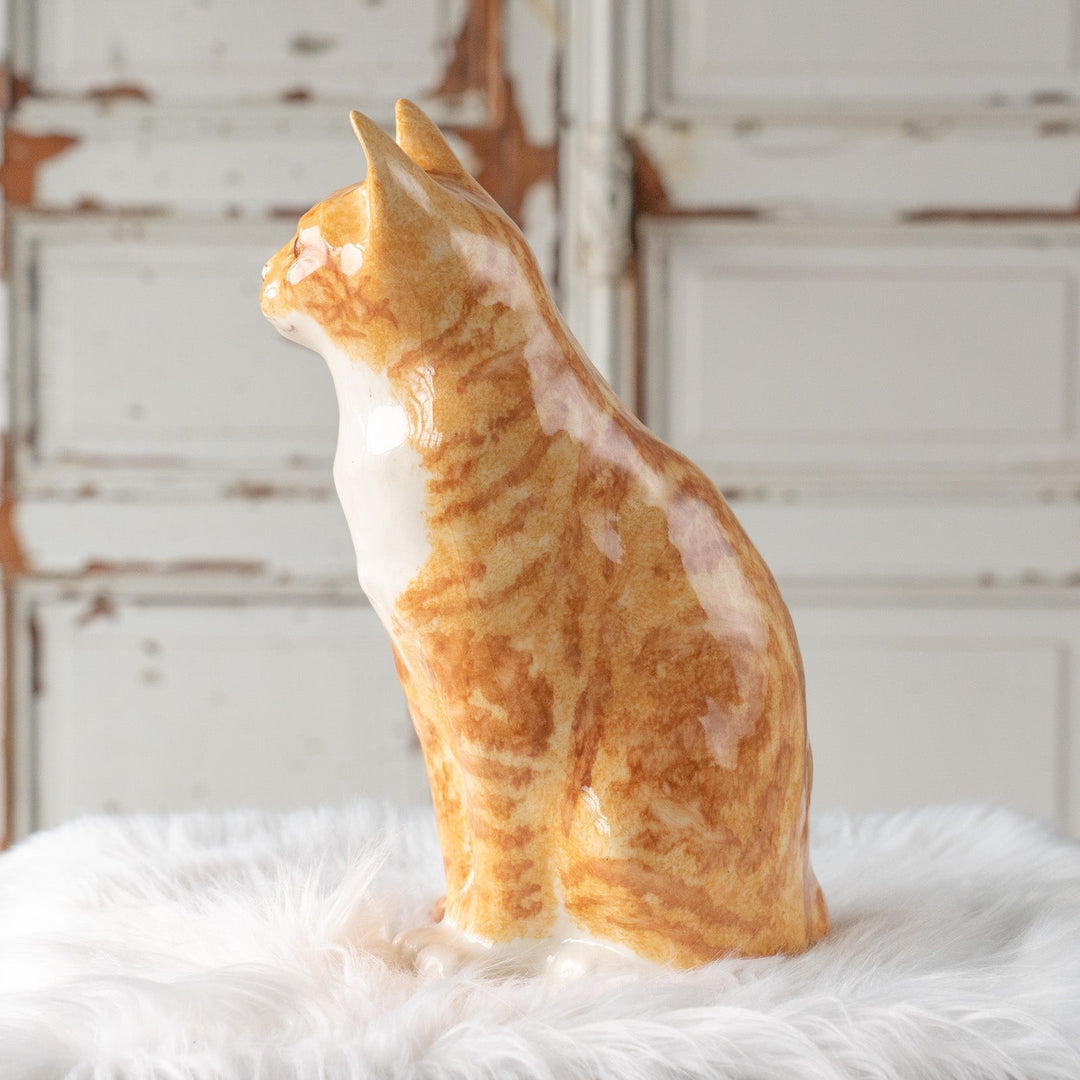 【Winstanley Cat ウィンスタンレイ キャット】遠くを見つめる物憂げな表情が印象的 ジンジャー 茶トラ猫 /25L