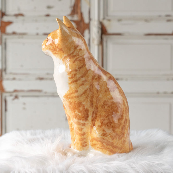 【Winstanley Cat ウィンスタンレイ キャット】遠くを見つめる物憂げな表情が印象的 ジンジャー 茶トラ猫 /25L