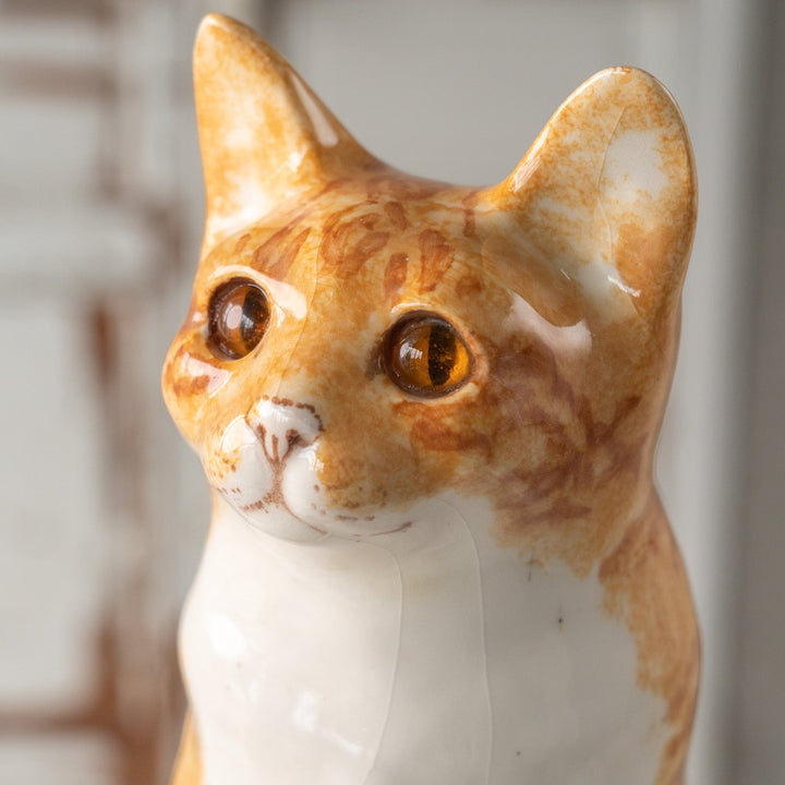 【Winstanley Cat ウィンスタンレイ キャット】遠くを見つめる物憂げな表情が印象的 ジンジャー 茶トラ猫 /25L