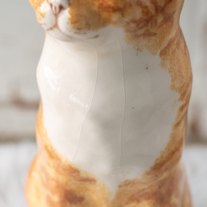 【Winstanley Cat ウィンスタンレイ キャット】遠くを見つめる物憂げな表情が印象的 ジンジャー 茶トラ猫 /25L