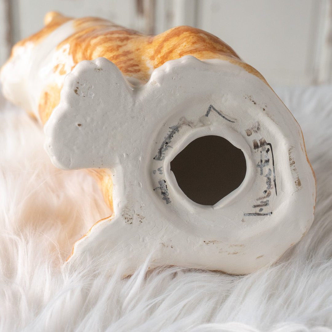 【Winstanley Cat ウィンスタンレイ キャット】遠くを見つめる物憂げな表情が印象的 ジンジャー 茶トラ猫 /25L