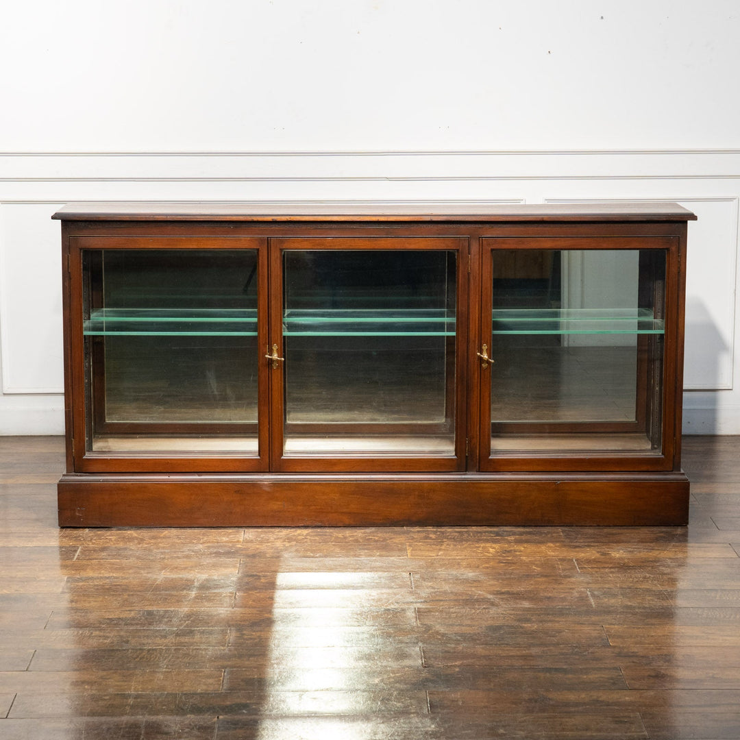 3面ガラス扉で収納品を一際美しく見せる ミラーバック ロータイプ ディスプレイキャビネット /25L