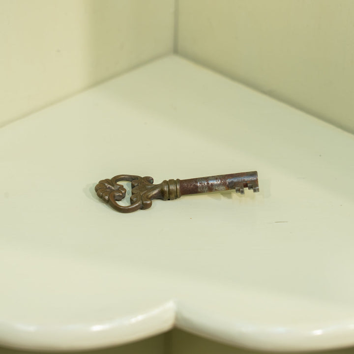 ウォールナット コーナーシェルフ /25L