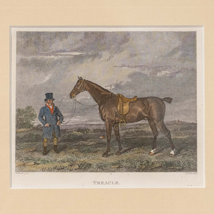 『TREACLE』イギリスで愛されていた名馬トリークルの肖像画 アートピース
