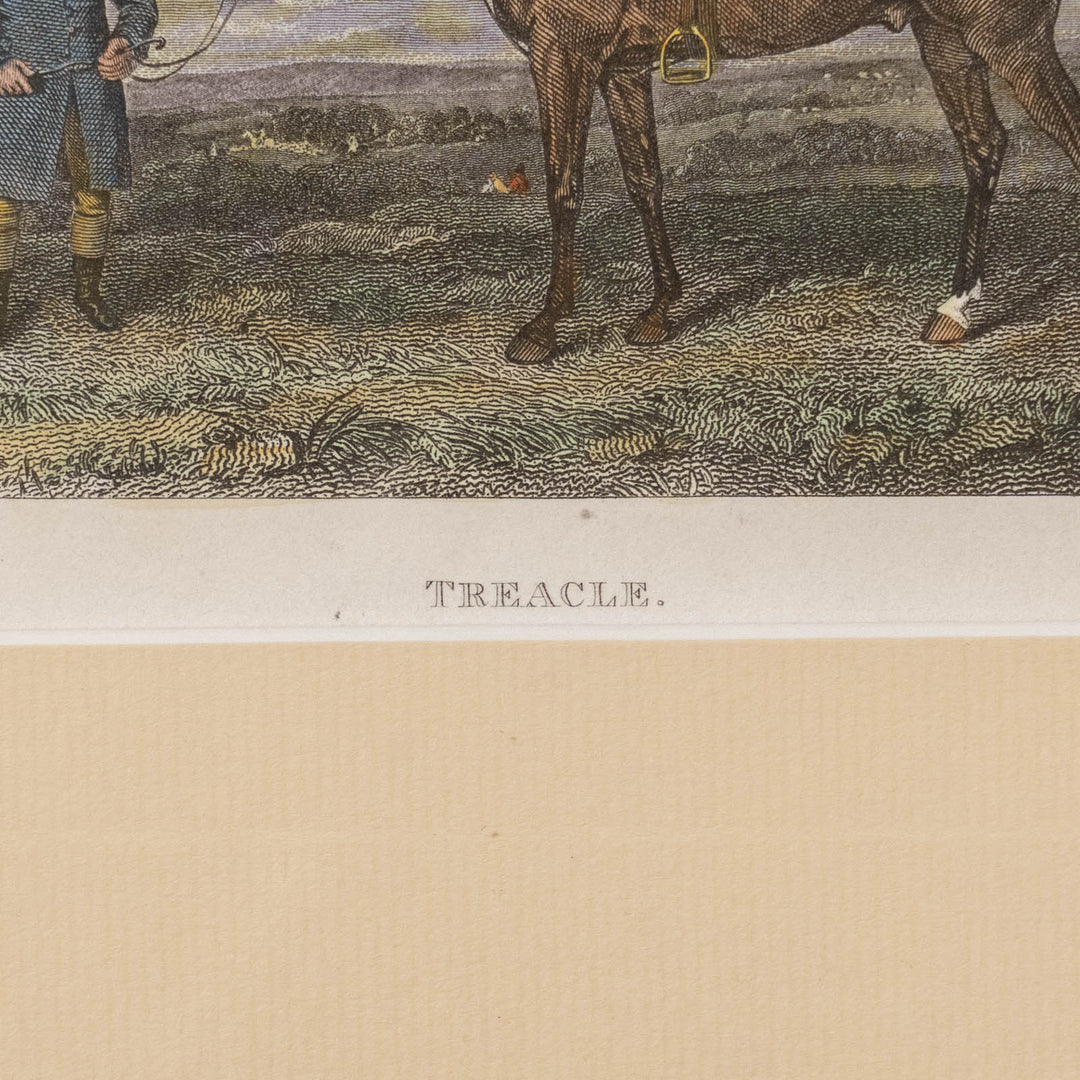 『TREACLE』イギリスで愛されていた名馬トリークルの肖像画 アートピース