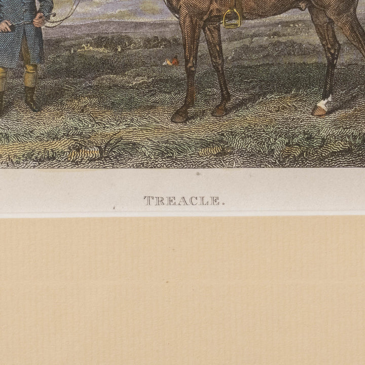 『TREACLE』イギリスで愛されていた名馬トリークルの肖像画 アートピース