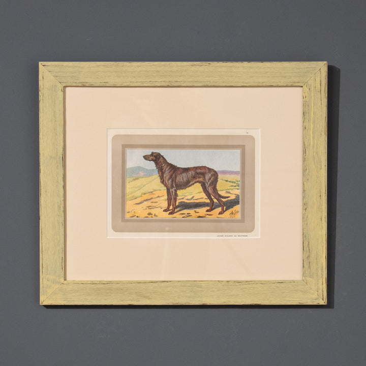 『LEVRIER D'IRLANDE OU WOLFHOUND』世界一大きな犬種アイリッシュウルフハウンドの気高き立ち姿 アートピース
