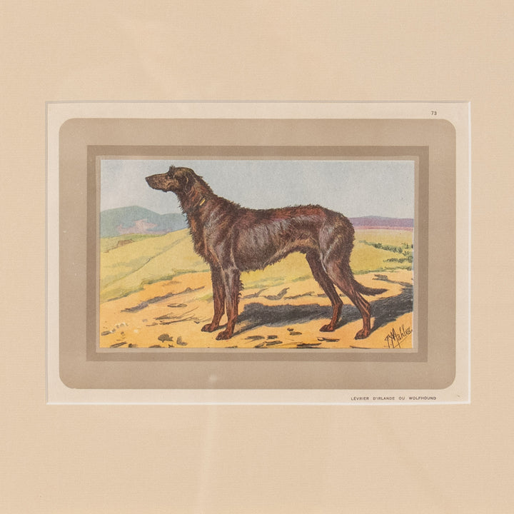 『LEVRIER D'IRLANDE OU WOLFHOUND』世界一大きな犬種アイリッシュウルフハウンドの気高き立ち姿 アートピース