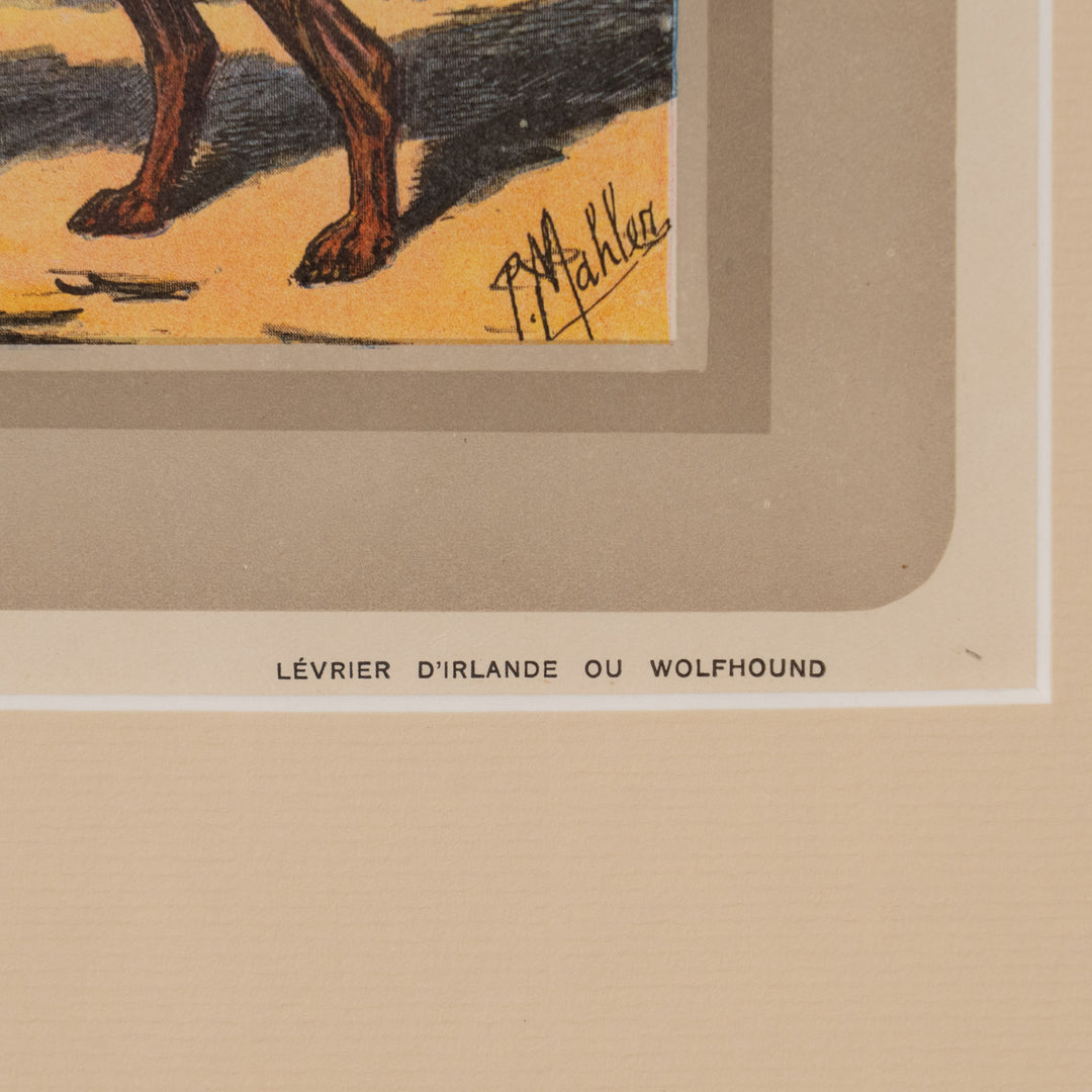 『LEVRIER D'IRLANDE OU WOLFHOUND』世界一大きな犬種アイリッシュウルフハウンドの気高き立ち姿 アートピース
