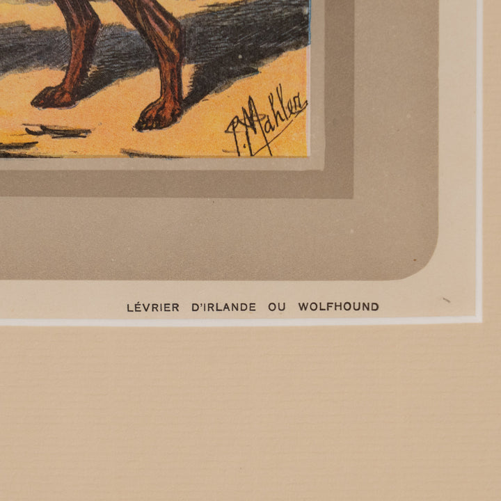 『LEVRIER D'IRLANDE OU WOLFHOUND』世界一大きな犬種アイリッシュウルフハウンドの気高き立ち姿 アートピース