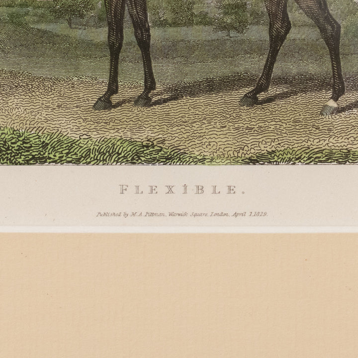 『FLEXIBLE』引き締まった美しい馬体を堂々と披露する名馬フレキシブルの肖像画 アートピース